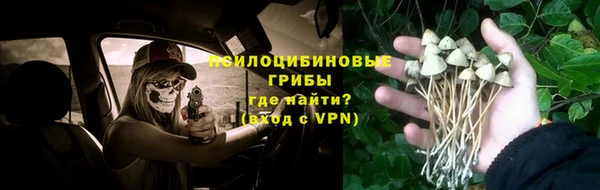 хмурый Алзамай