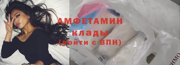 хмурый Алзамай