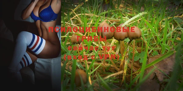 гидра Абдулино