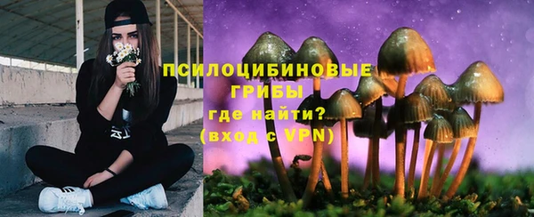 ALPHA-PVP Алексин