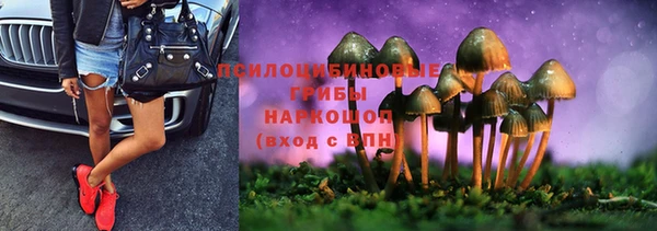 ALPHA-PVP Алексин